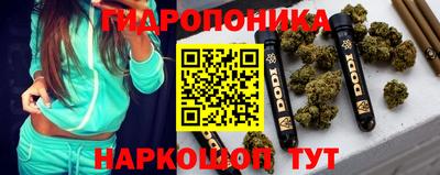 прущие крисы Бийск