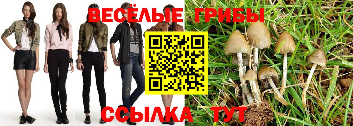 Горячий Ключ  Галлюциногенные грибы Psilocybe  Вход с VPN 