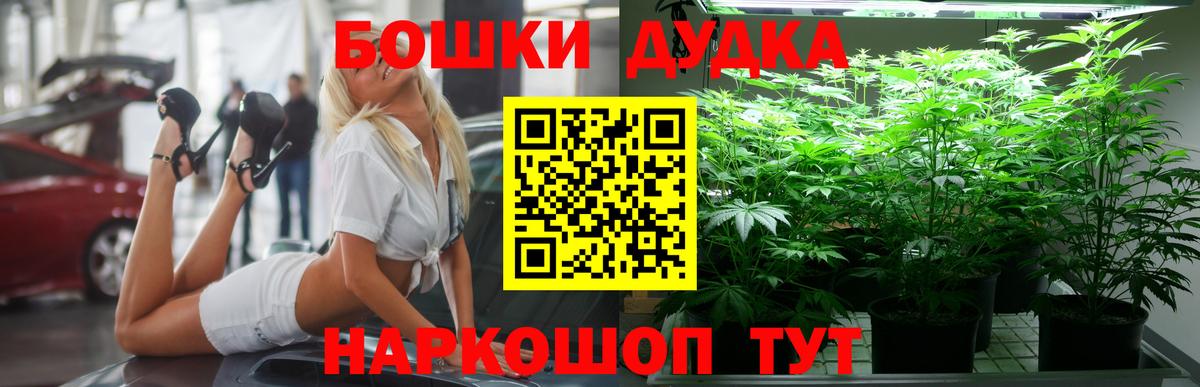 МАРИХУАНА MAZAR  Бошки Шишки SATIVA & INDICA  Конопля планчик  Вход с VPN  Горячий Ключ 